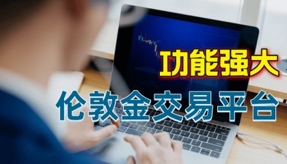 国内伦敦金交易平台功能对比，哪个更好用？