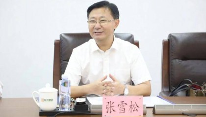 张雪松，隐瞒不报家庭房产