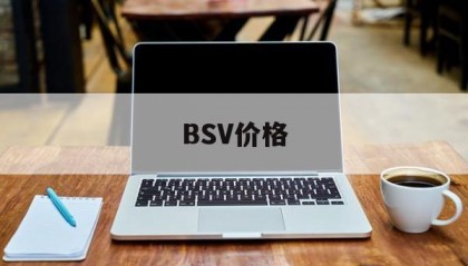 BSV价格(bsv价格今日行情美元)