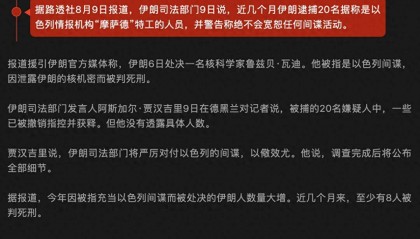 一个好消息一个坏消息，好消息：伊朗抓住一条“大鱼”；坏消息：是个内鬼