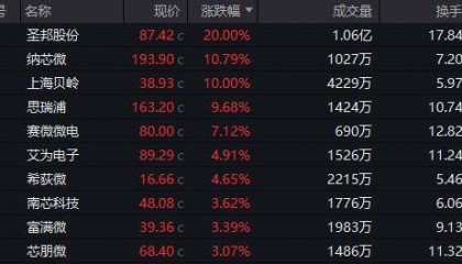 模拟芯片板块大涨，圣邦股份、纳芯微、上海贝岭等涨停