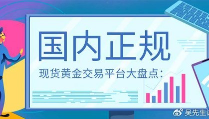 国内领先现货黄金交易平台APP：用户选择的全面解析
