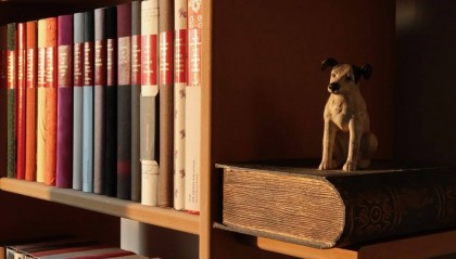 东方通（300379）股票索赔指南：亏损股民如何维权？