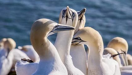 广哈通信涨3.03%，成交额3.76亿元，后市是否有机会？