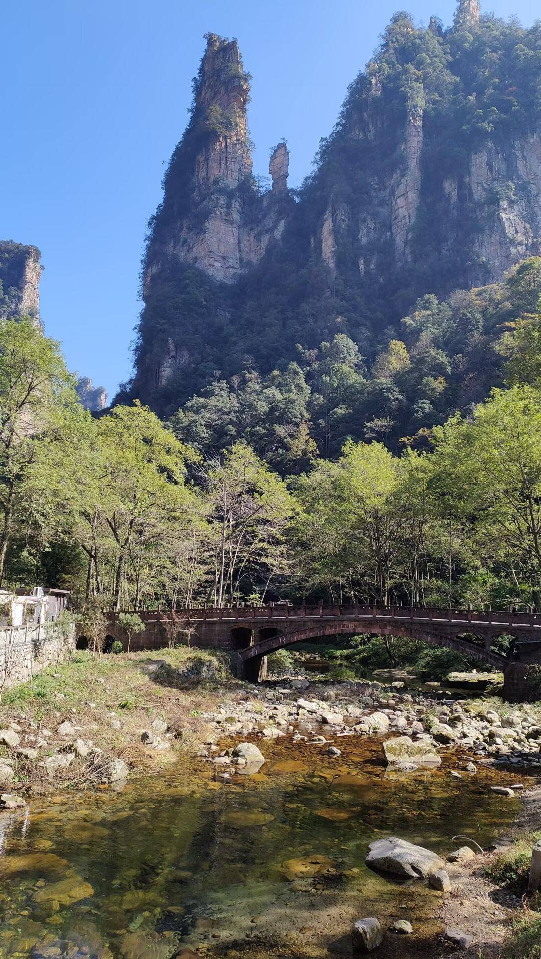 关注！长春到张家界旅游报价，最新价格信息