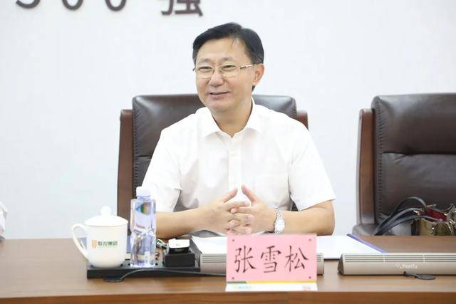 张雪松，隐瞒不报家庭房产