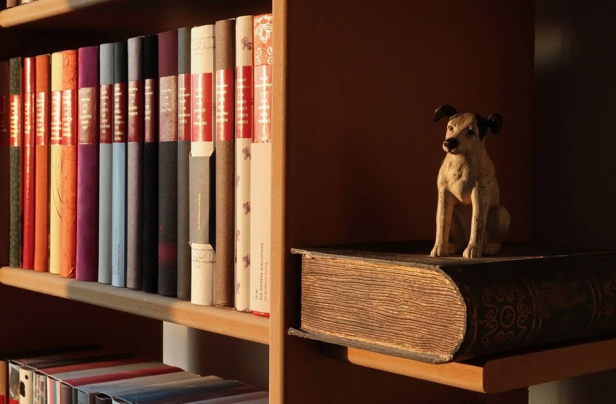 东方通(300379)股票索赔指南:亏损股民如何维权?