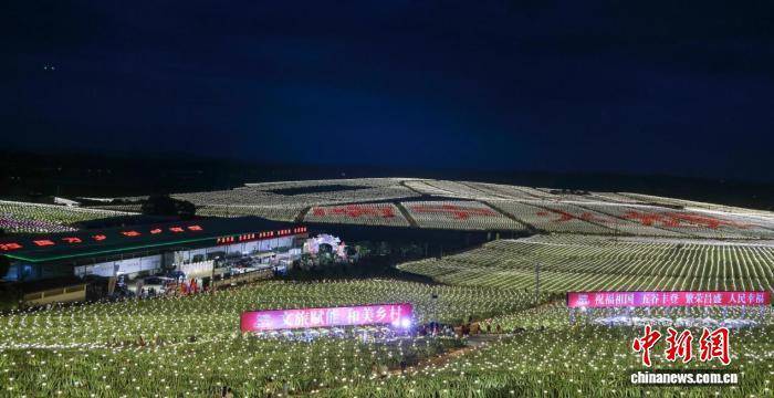 广西隆安万亩火龙果基地灯海璀璨 游客体验农文旅融合