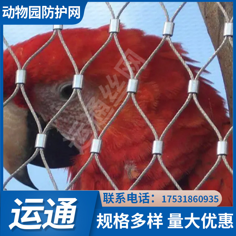 A网(阿旺夫妇电影) A网(阿旺夫妇电影)