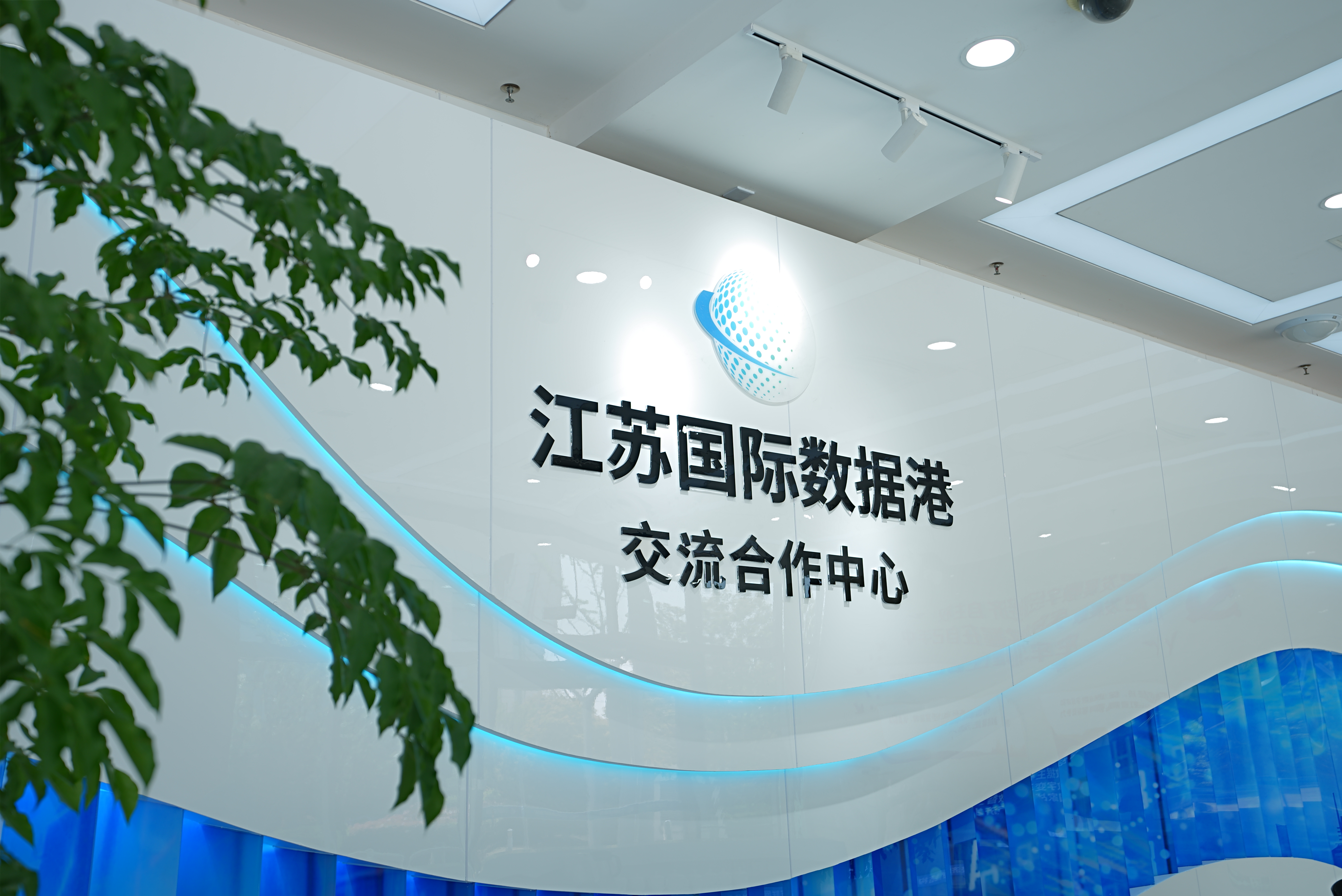 数交所(上海数交所)